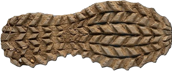 Trail shoe